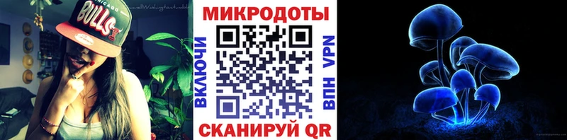shop наркотические препараты omg Дорогобуж Псилоцибиновые грибы ЛСД